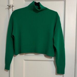 Aritzia Babaton Green Turtleneck Sweater